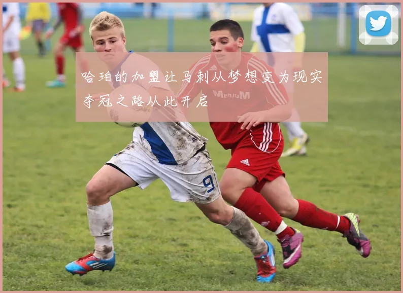 哈珀的加盟让马刺从梦想变为现实夺冠之路从此开启