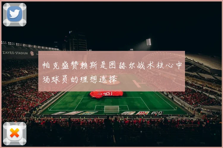 帕克盛赞赖斯是图赫尔战术核心中场球员的理想选择